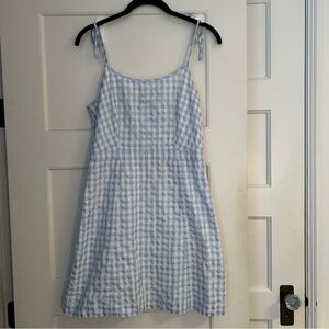 Madewell Blue and White Gingham Dress